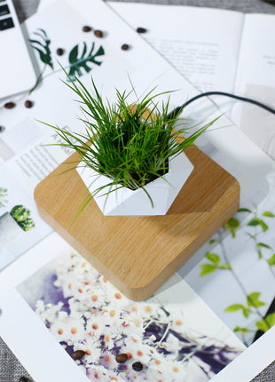Magnetic Levitation Polygonal Wood Grain Potted Plant