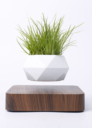 Magnetic Levitation Polygonal Wood Grain Potted Plant