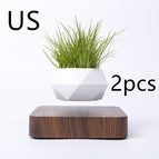Walnut grain2pc / US