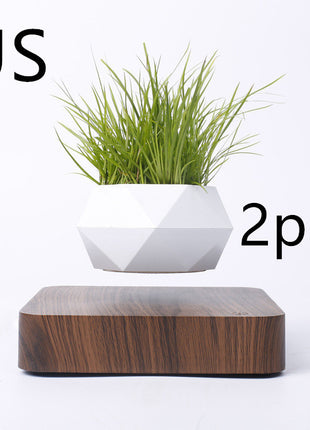 Magnetic Levitation Polygonal Wood Grain Potted Plant