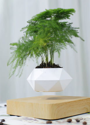Magnetic Levitation Polygonal Wood Grain Potted Plant