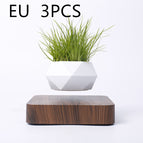Walnut grain3PCS / EU