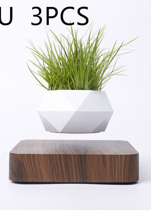Magnetic Levitation Polygonal Wood Grain Potted Plant