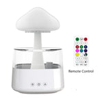 CH06 White remote control / USB