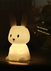 Duoduo rabbit / 098W