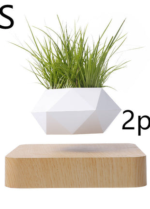 Magnetic Levitation Polygonal Wood Grain Potted Plant