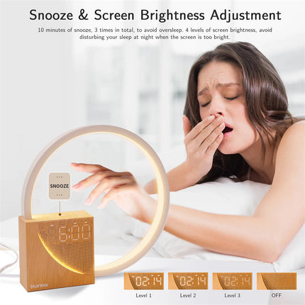 Touch Bedside Lamp with Natural Sounds & Alarm Clock