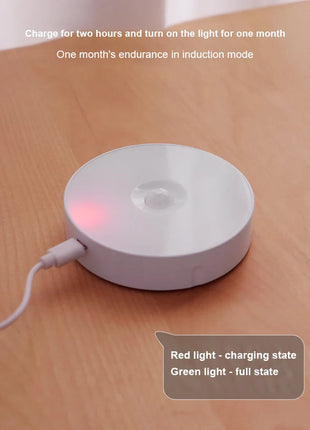 USB Rechargeable PIR Motion Sensor LED Night Light