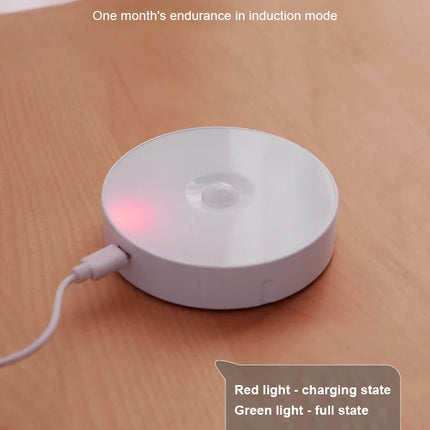 USB Rechargeable PIR Motion Sensor LED Night Light — Soft Glow Bed